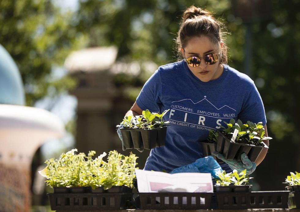 Woman holding tray of vegetable starts at FCSC Event