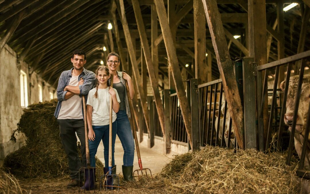 The Basics of AG Lending for Young Farmers