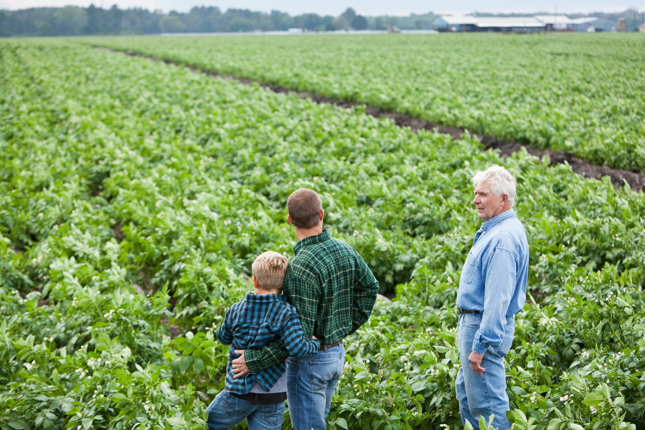 The Basics Of Agricultural Advocacy Become An Advocate Of Agriculture