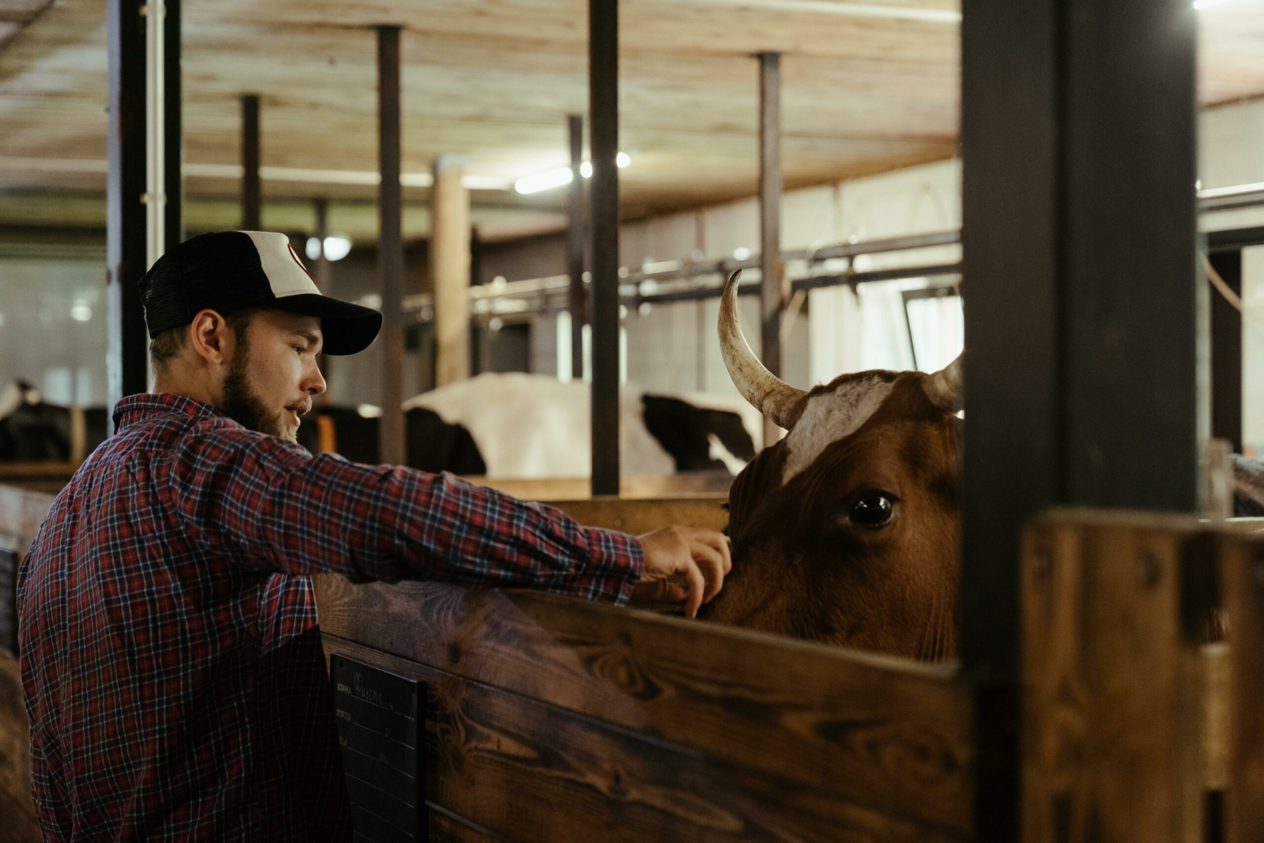 AG Lending for YBS Young Beginning Farmers