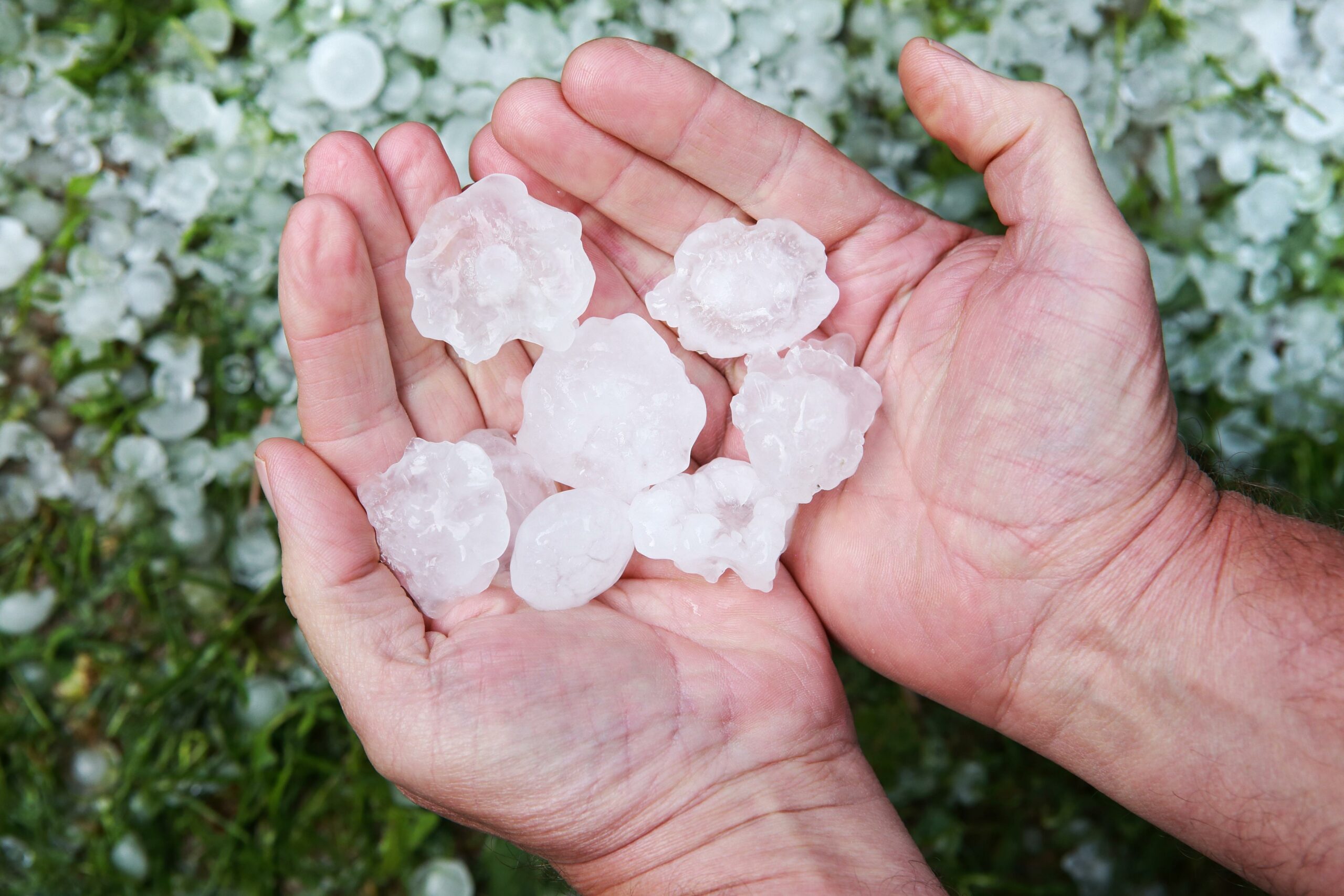Crop Hail Insurance Importance in Agriculture Business