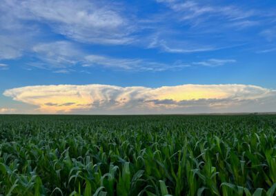 corn field-storm clouds