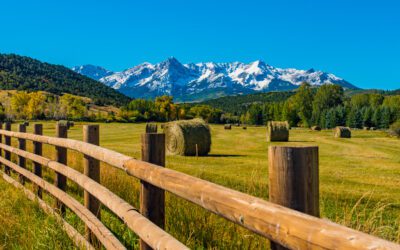 Farm Credit of Southern Colorado Announces Record Cash Patronage Dividend of $9.5 Million for 2022