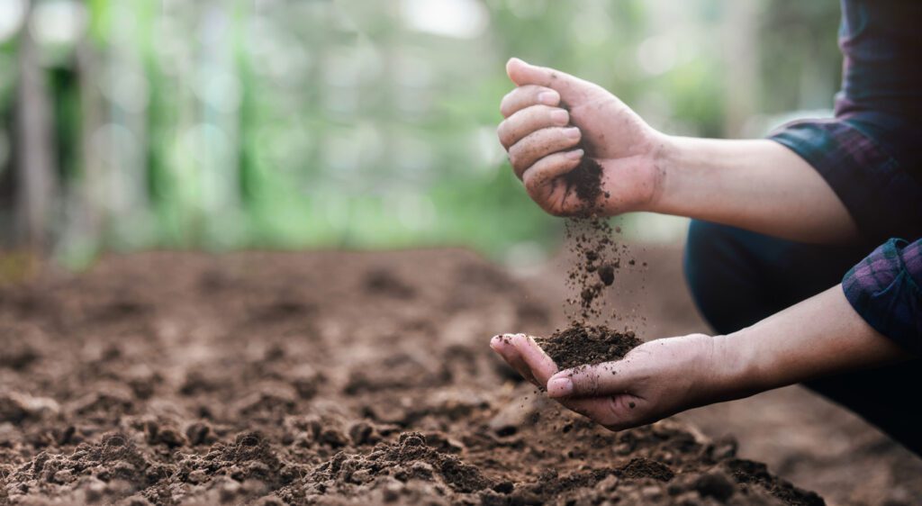 STAR Program for Colorado Soil Initiatives