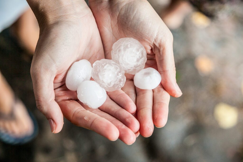 Crop-Hail Insurance Frequently Asked Questions