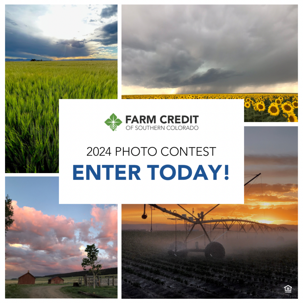 Announcing The 2024 FCSC Calendar Contest Farm Credit Of Southern   MicrosoftTeams Image 12 1024x1024 