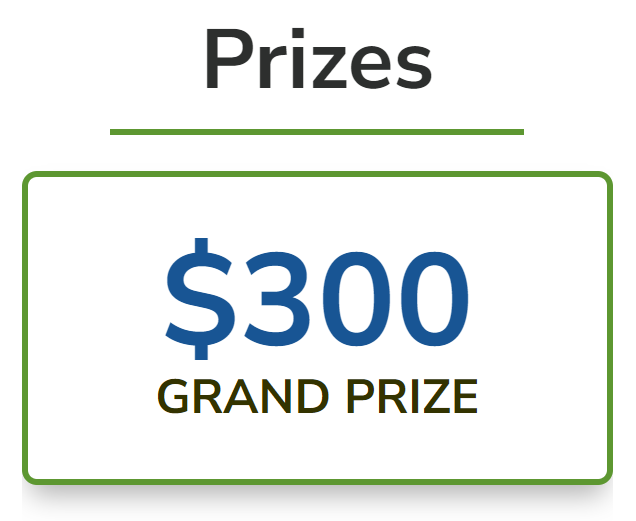 Calendar Contest 2024 Grand Prize
