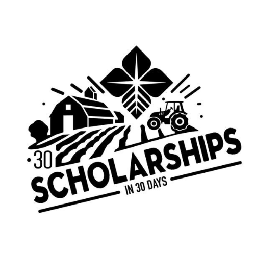 30in30 Scholarship Logo