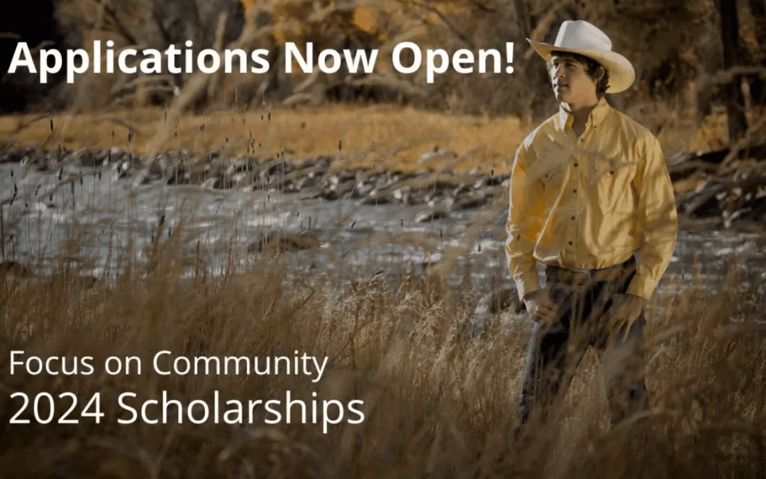 Scholarships Now Open