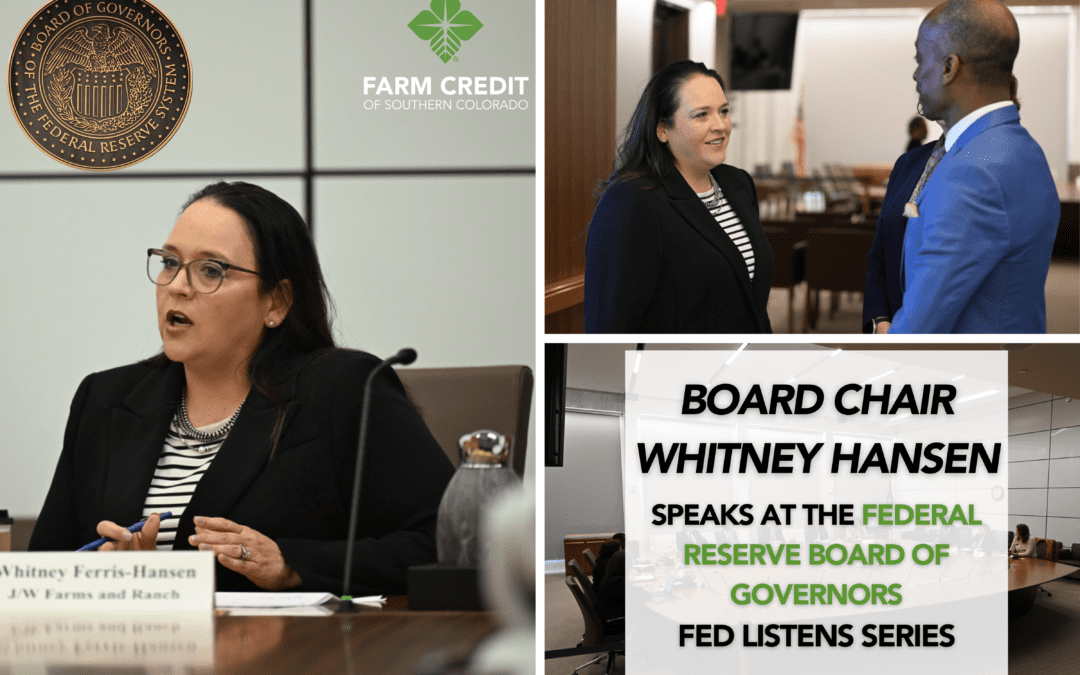 Board Chair Whitney Hansen Speaks at The Federal Reserve Board of Governors Fed Listens Series