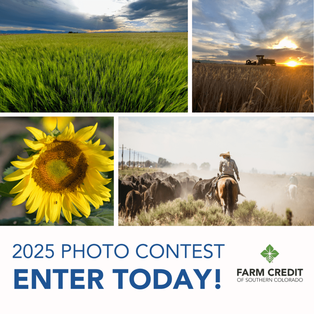 Enter Our 2025 Calendar Contest