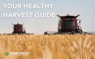 A Helpful Technical Guide for a Healthy Harvest in Colorado