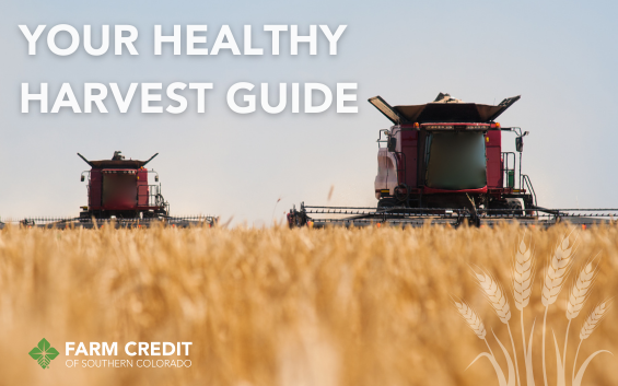 Helpful Technical Guide for a Healthy Harvest in Colorado