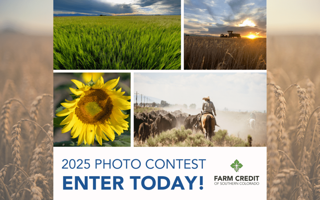 Enter the 2025 Photo Contest Today!