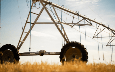 The Power of a RLOC: Revolving Line of Credit for Agricultural Operations