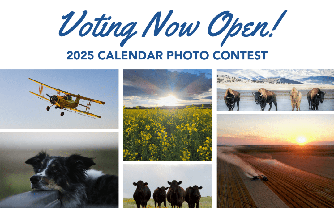 Calendar Contest Voting Now Open!