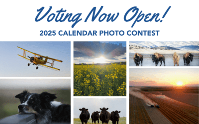 Voting has begun for our 2025 Calendar Contest!