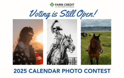 Vote Now for the 2025 Calendar Contest!