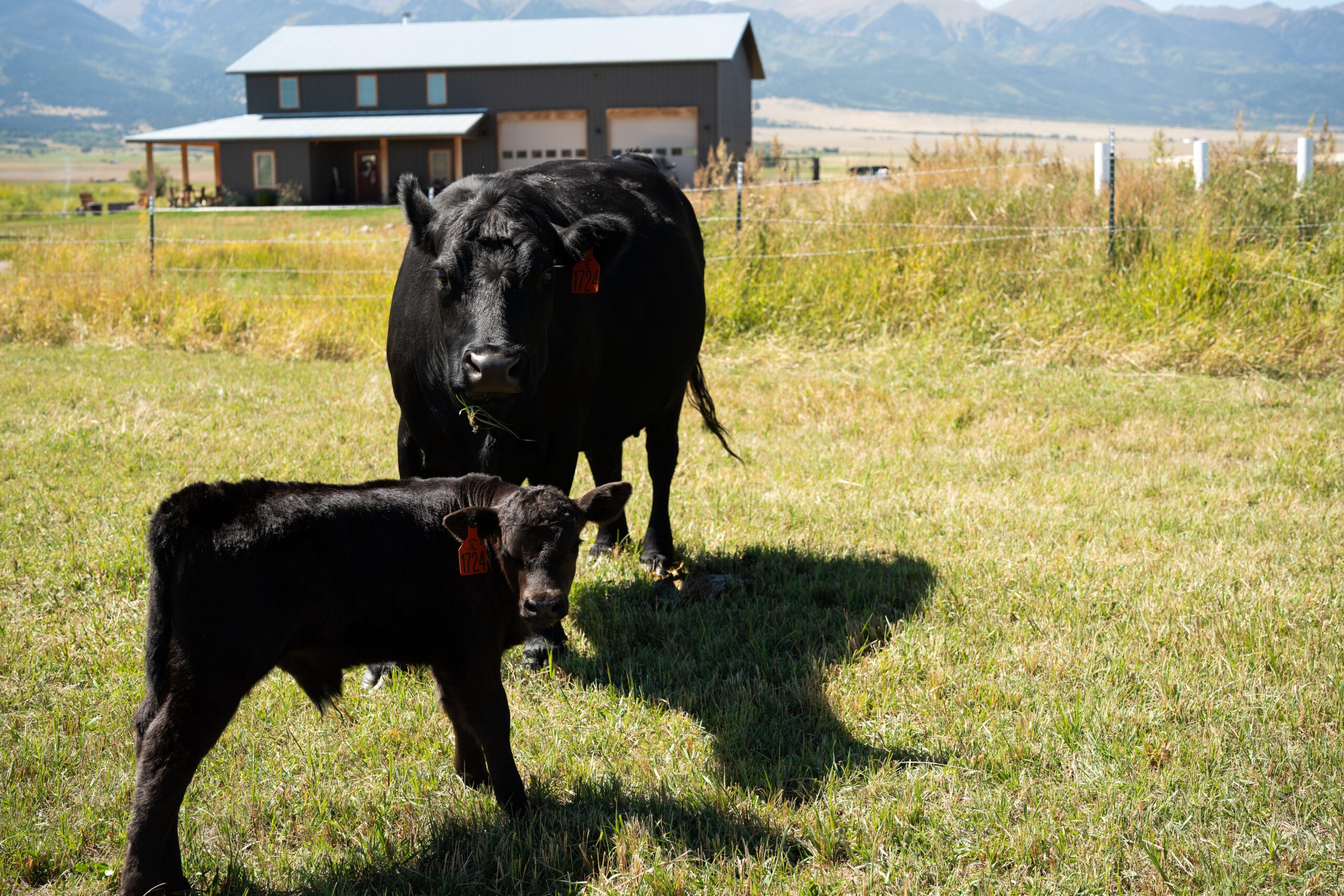 The Bowman's Rural Home in Southern Colorado