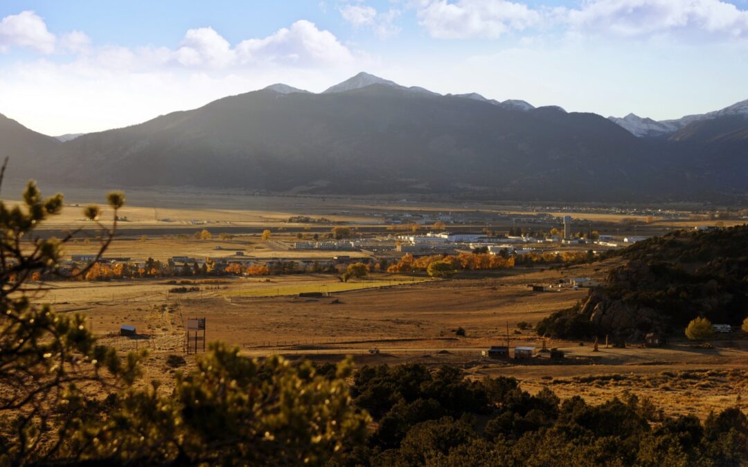 PRF Insurance: Safeguarding Livestock and Land in Colorado