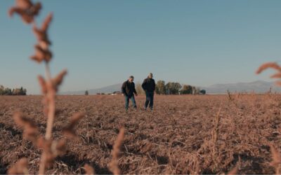 Worley Family Farms: A Legacy of Hard Work and Innovation